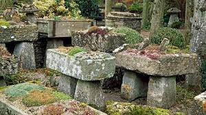 Generally, plants found in rock yards are small and do not enlarge than 1 meter in height, though small trees as well as bushes up to 6 meters may be. How To Create A Rock Garden