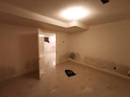 Basement apts for rent in your locality or any desired location in toronto, furnished and economic 1 bedroom base apartment and multiple bedrooms apartment with clear property specifications are afford for indians. You Can Live In This Creepy Markham Basement For 800