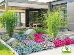 Mein Schoner Garten Bodendecker Set Eyecatcher 19 Pflanzen In 2020 Bodendecker Pflanzen Gartengestaltung