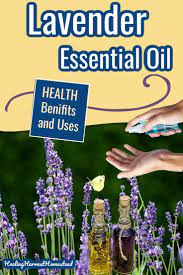 Lavender Essential Oil Guide Lavendula Angustifolia Why You Need It In Your Home All Posts Healing Harvest Homestead Essential Oils Health Essential Oil Blends Recipes Essential Oils