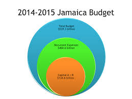Jas Budget 2014 In A Nutshell Dig Jamaica