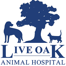 Janice of north miami beach, fl. Live Oak Animal Hospital Vero Beach Veterinarians