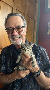 This sweet grey kitty was the victim of an eviction, looking for the owner.  She and a Tabby. They are well cared for, I would hope the folks want them  back, the