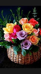 Dreamstime is the world`s largest stock photography community. 10 Lovely Flowers Ideas Flowers Beautiful Flowers Beautiful Rose Flowers