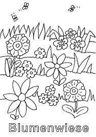 Kostenlose Malvorlage Natur Blumenwiese Zum Ausmalen Zum Ausmalen
