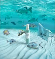 Giornata mondiale dell'amicizia oggi 30 luglio: Giornata Mondiale Degli Oceani La Bellezza Fa Rima Con Acqua
