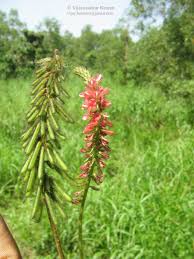 Image result for Equilabium