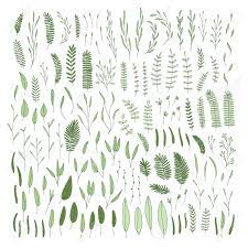 Then, apply glue to the pencil lines, and add seeds. Vector Hand Drawn Collection Of Doodle Leafs And Branches Simple Royalty Free Cliparts Vectors And Stock Illustration Image 104833124