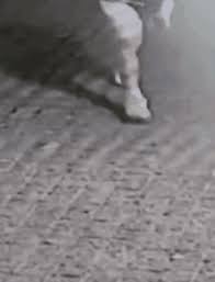 .기다리고 있는 22살 남자야 내가 중3때 있었던 썰을 풀어보려고 해 나는 초등학교 2학년 때부터 고등학교 1학년 때까지 공부방을 다녔어 중학교 2학년때 까지만 해도 수업듣는 친구… ì •ë³´ í•œê°• ì‹¤ì¢… ëŒ€í•™ìƒ ì†ì •ë¯¼ ì¹œêµ¬ ì‹ ë°œ ë¹„êµ ë¶„ì„