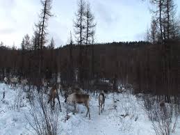 오늘의 TV | 온에어 | 전 국민의 평생학교 EBS