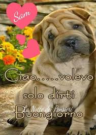 Pin Di Laura Brai Su Buongiorno Buongiorno Immagini Buongiorno Buongiorno Bellissimo