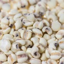 Image result for Coix