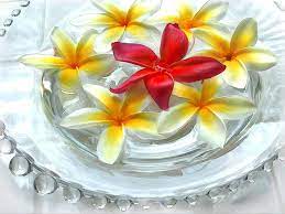 Pin By Digital Reality Art On Info Love 2 Garden Plumeria Glass Flowers Glass Bowl