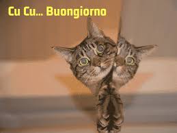 Le frasi più belle da dedicare al proprio amore ogni giorno mi fai innamorare di qualcosa: Buongiorno Divertente Immagini Frasi Gif E Video 151 Dediche Per Un Buongiorno Simpatico Passione Mamma