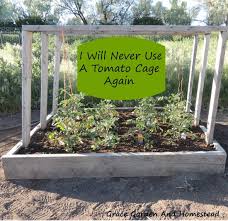 2.285 views7 years ago surf city gardener. 32 Diy Tomato Trellis Cage Ideas For Healthy Tomatoes