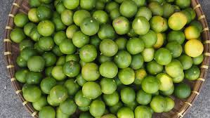Proper care of lime trees requires that the lime tree get an even mix of nutrients. Complex Tart And Bitter The Gardenzeus Guide To Lime Tree Varieties