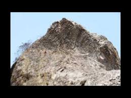 Temen2 jangan lupa dukung 'safa dan marwah' di ajang panasonic gobel award dengan ketik : Bukit Safa Dan Marwah Youtube