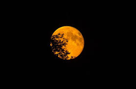 The full moon calendar 2021 with exact dates and time (accurate to the second!). Last Supermoon Of 2021 Sure To Dazzle The Night Sky In June