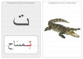 حرف كلمة صورة بطاقات الحروف والحيوانات 3 Animals Lizard