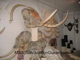 Muzium masjid sultan abdullah (islamic art museum) which opened in october 2016, botanical museum, children's museum, and the watercraft museum. Sultan Abu Bakar Museum In Johor