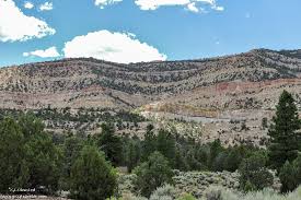 There are 41 moderate trails in dixie national forest ranging from 1.9 to 77.2 km and from 1,209 to 3,448 meters above sea level. Dixie National Forest Utah