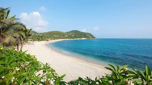 Với thương hiệu xứ sở hoa vàng trên cỏ xanh. Phu Yen Toi Tháº¥y Hoa Vang Tren Cá» Xanh