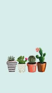 Dark green aesthetic slytherin aesthetic colors green pictures green wall green photo green wallpaper green theme picture wall. Download Wallpaper Aesthetic Cactus Cikimm Com