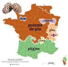 Pin By Rene Llave On Langue Francaise Map Fruit Pine Cones