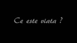 Read ce este viata capitolul 4 from the story ce este viata? Ce Este Viata What Is Life Youtube