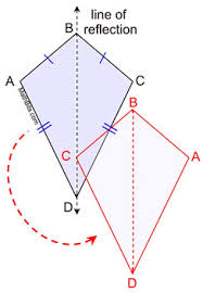 Reflection symmetry looks when a central mirror line can be drawn on it, and thus proving that both halves are symmetrical to each other or mirror reflection o. Observe Quadrilateral Properties Through Symmetry Mathbitsnotebook Geo Ccss Math