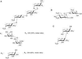 Nov 29, 2018 · regular intake of epsom salts, either orally or transdermally, may help regulate blood sugar, lowering the risk of diabetes and improving daily energy levels. Use Of Fucoidan To Treat Renal Diseases A Review Of 15 Years Of Clinic Studies Sciencedirect