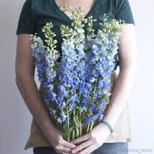 Every editorial product is independently selected, though we but, blue flowers can be surprisingly hard to find. Dusty Blue Cream Wedding Flower Moodboard Diy Wedding Flower Packages Flower Moxie