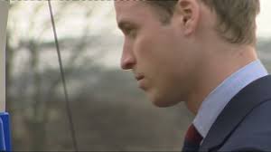 192 Royal Archer Stock Videos, Footage, & 4K Video Clips