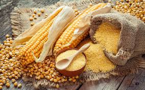 Are You Using The Right Cornmeal For Your Recipe Corn Maize Cornmeal Best Christmas Cookies