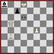 The user is allowed a choice of alternative solutions. Chess Tactics Study 1 Mate In 2 At Thechessworld Com