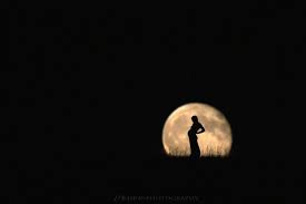 Scroll to see more images. Fertility And The Moon What S The Connection