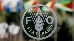 Our actions are our future. Race To Lead Fao Nears The Finishing Line Devex