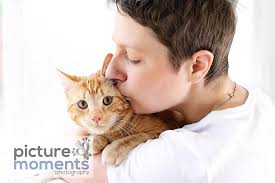 Pet cremation in melbourne, fl 1. Furever After Pet Cremation Home Facebook