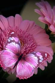 Max image dimensions are 15000 x 15000. Cvetok I Babochka Beautiful Gif Aesthetic Butterflies Beautiful Flowers
