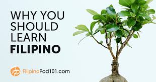 It's sturdy and can be collected easy. Filipino Language Blog By Filipinopod101 Com