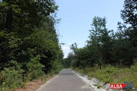 De la wikipedia, enciclopedia liberă. Foto Parcul Dendrologic Din Alba Iulia Peste 1 100 De Specii De Plante È™i O MulÈ›ime De CuriozitÄƒÈ›i AflÄƒ Cand Se Deschide Micul Paradis Natural Alba24