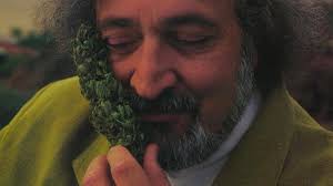 Who Is Jack Herer and What Was His Role in Cannabis?