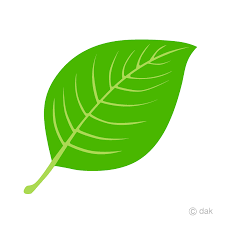 You may also like fall leaf or leaf fall clipart! Simple Leaf Clipart Free Png Image Illustoon