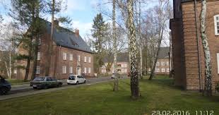 Invalidensiedlung Frohnau Tree Plants Berlin