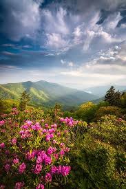 Fine Art Photography Featuring Blooming Rhododendron And A Scenic Spring Sunset In 2020 Mountain Landscape Photography Mountain Landscape Blue Ridge Parkway Asheville