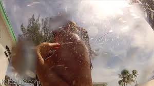 Katee shop owen bike