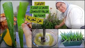 تجربتنا مع الألوفيرا وطريقة الاستعمال والاعتناء بها في المنزل لمنع تساقط الشعر وتفتيح البشرة Youtube Food Vegetables Beauty