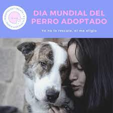 Jun 19, 2021 · también llamada postura del perro hacia abajo, esta postura consiste en que la cabeza toque el suelo con el peso corporal en las palmas y los pies. Dia Mundial Del Perro Adoptado Miguitas El Salvador Facebook