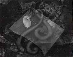 Edward weston holds an upper berth in the pantheon of modern american photography, and it's easy to see why. The Weston S At Alan Klotz Gallery The Eye Of Photography Magazine