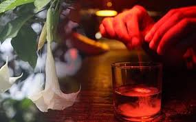 Burundanga is often used in spanish when someone has placed a spell on you or casts a magik spell on you. Scopolamine Or The Devil S Breath The Drug That Nullifies Your Will Exploring Your Mind